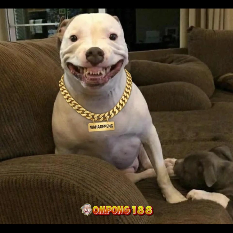 OMPONG188 | Event Gates of Olympus dengan Fitur Scatter Lipatan Ganda image 1